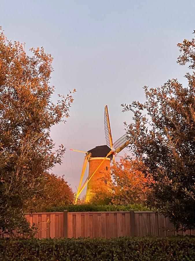 Gastenverblijf Bij De Buuren Dirksland Extérieur photo