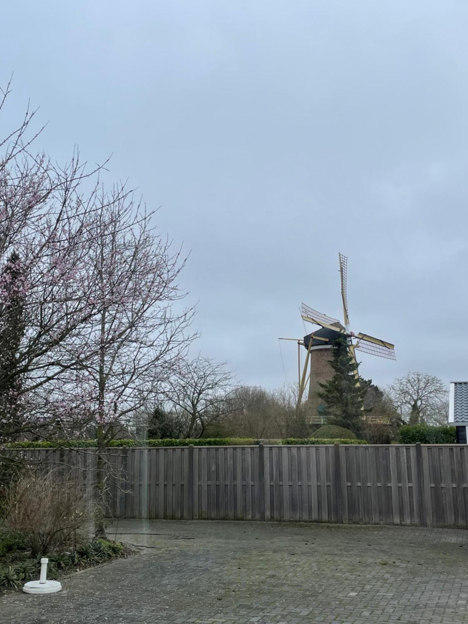 Gastenverblijf Bij De Buuren Dirksland Extérieur photo